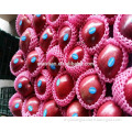 /msite/products/detail/productid/54855629/id/542998.html